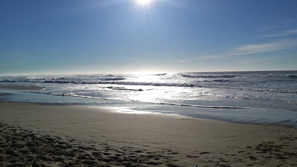 Les Jardins De L'Ocean - Climatise Biscarrosse-Plage Exterior foto